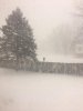 snow 1.jpg