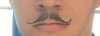 Stache2018Crop2.jpg