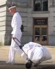 navy cart x.JPG