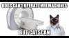 catscanjoke.jpg