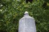 DSC_0736.JPG