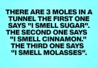 Molasses.jpg