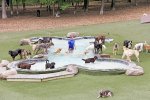 IMG_5694.jpeg