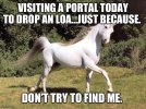 IMG_5893.jpeg