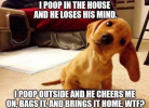 1715984904901.png