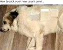 1719707516841.png