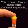 1727450077839.png