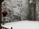 thumbnail_IMG_1276.jpg