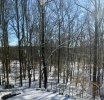 IMG_6505.jpeg