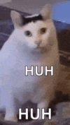 1744399243064.png