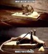 strong mouse.jpg
