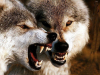 upload_2019-7-9_11-31-43.png