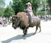 buffalo.jpg