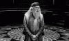 dUMBLEDORE.gif