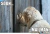 Dogwait.jpeg
