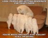 dog tp.jpg