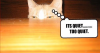 1588791943840.png