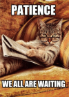 patience-weallare-waiting-meme-creator-funny-patience-we-all-48759062~2.png