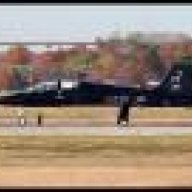 eagle36