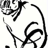 CatChaser