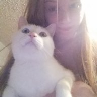 Marmalade