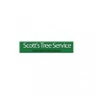 scottstree