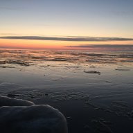 AlaskaAlex