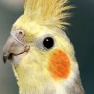 ZHman