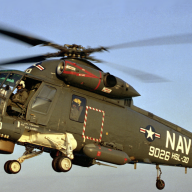 wildcat26