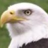 eaglesmom
