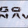 Go_Navy
