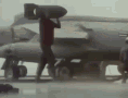 navy-seal-navy-bonk.gif